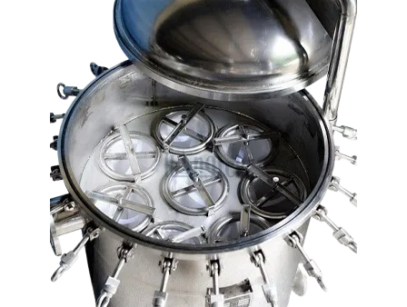 Stainless Steel Multi Bag Filter Housing